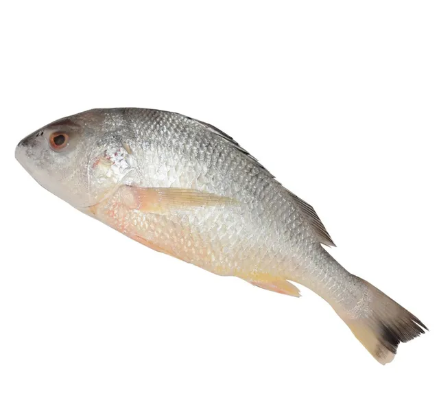 Nagroor Small 1 kg