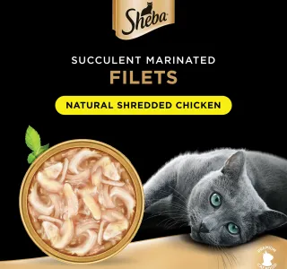 Sheba Fillets Shredded Chicken Cat Food 60 g