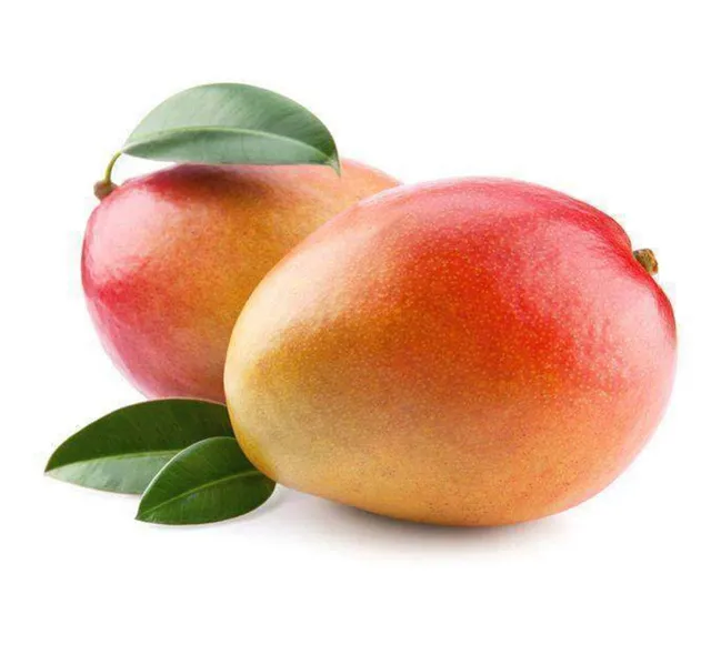 Fresh Mango Tommy 1 Kg