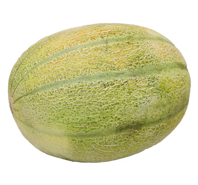 شمام روك 2 كجم