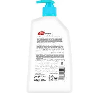 Lifebuoy Cool Fresh Hand Wash 500ml