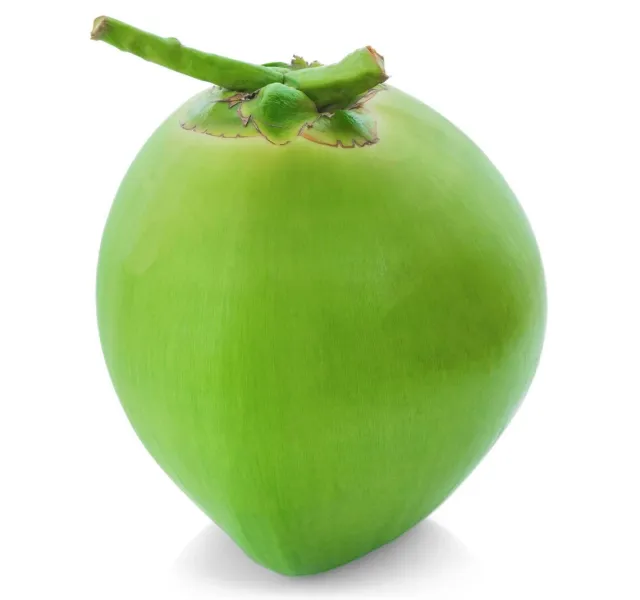 جوز هند طري عمان 1 Pc