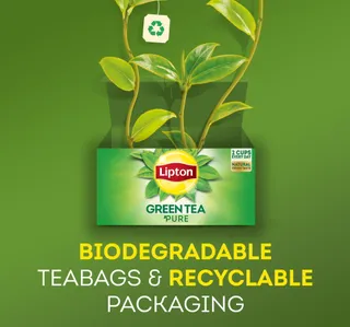 Lipton Green Tea Mint Value Pack 50 Teabags 65 G