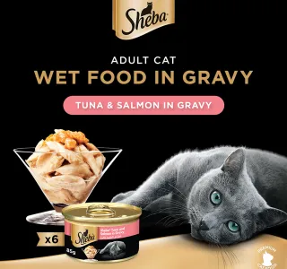 Sheba Tuna And Salmon In Gravy Cat Food 6 X 85 G