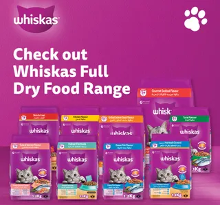 Whiskas Skin Coat Dry Cat Food Bag 1 1 Kg
