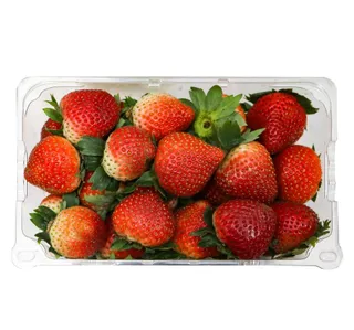 Driscoll S Strawberry 454 G