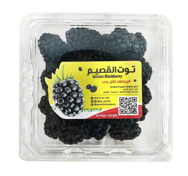 توت أسود سعودي 170 g