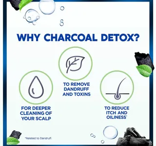 Head Shoulders Charcoal Detox Anti Dandruff Shampoo Value Pack 2 X 350 Ml