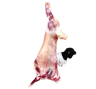 Pre Order Barbari Whole Lamb 9 Kg To 12 Kg