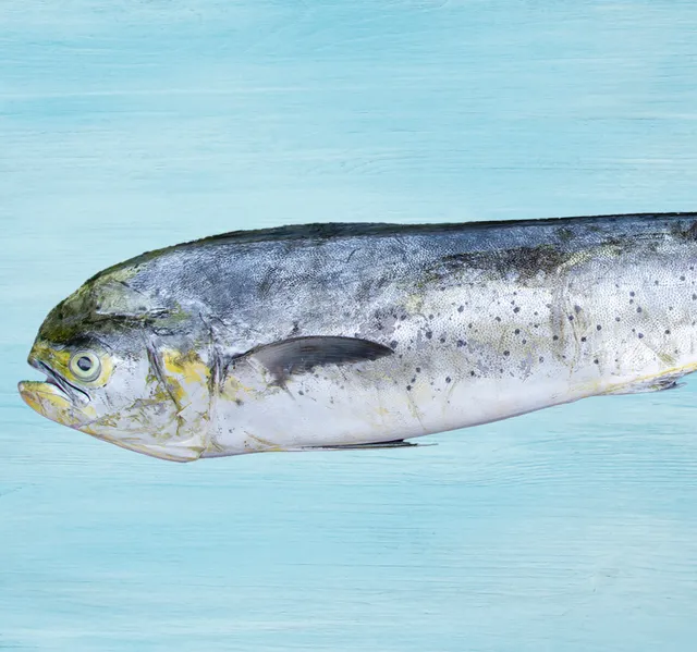 Anfalous Fish Whole Cleaned 3.5 kg