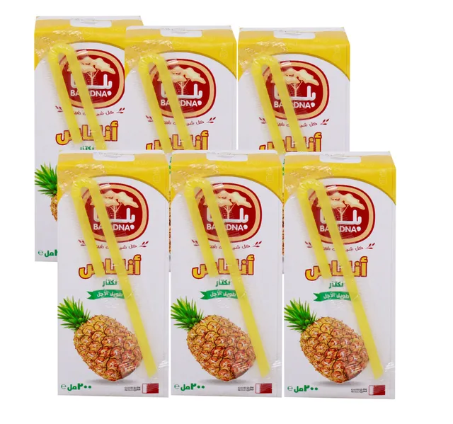 Baladna Long Life Pineapple Nectar Juice 200 Ml