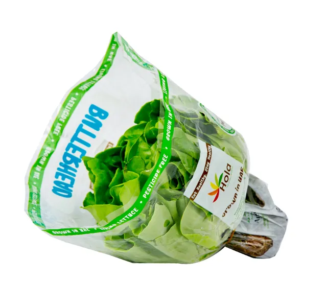 Hola Boston Lettuce UAE 250 g
