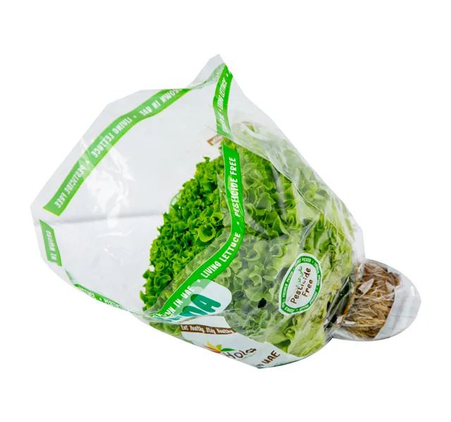 Hola Lollo Bionda UAE 250 g