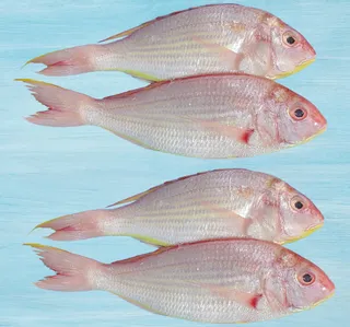 Fresh Sultan Basi Whole Cleaned 1 kg