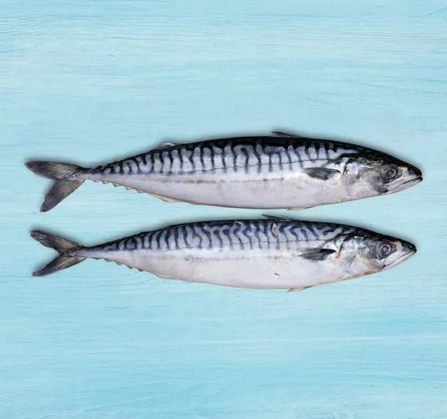 Norweigan Mackerel Defrosted 500 G