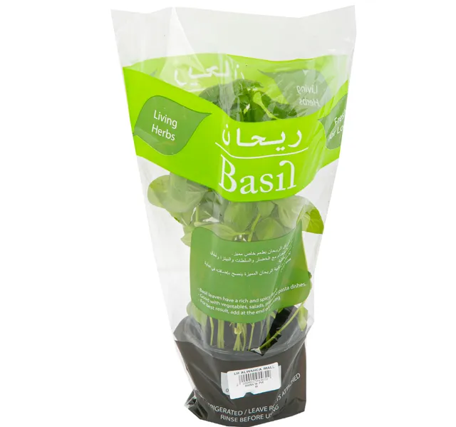 Herbs In Pot Basil 1 Pc
