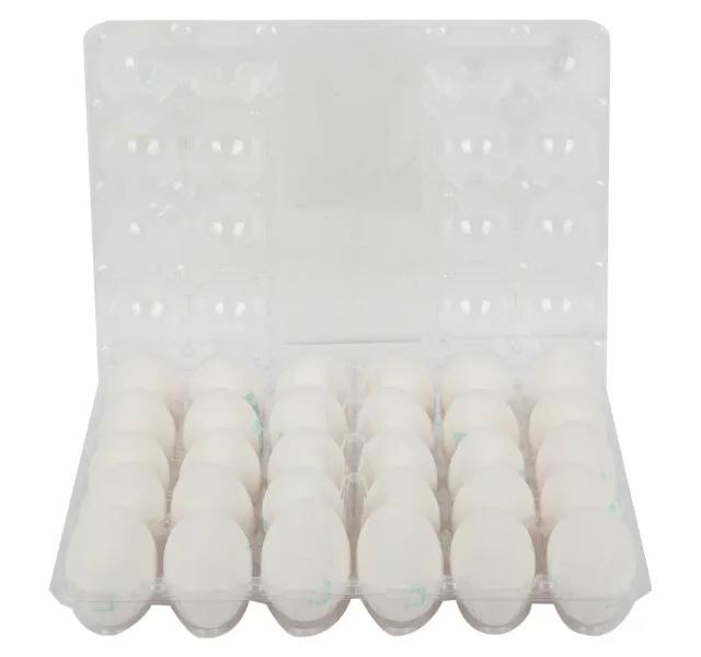 Jenan Dha Omega 3 With Vitamin B12 White Eggs Medium 30 Pcs