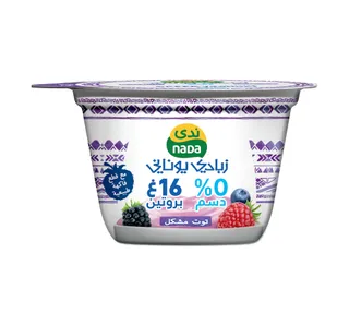 ندى زبادي يوناني توت مشكل خالي الدسم 160 جم