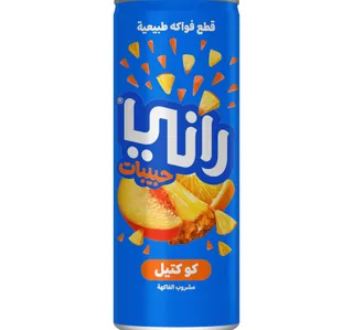 Rani Float Cocktail Fruit Drink 240 ml
