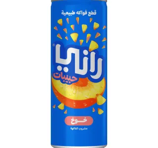 Rani Float Peach Fruit Drink 240 Ml