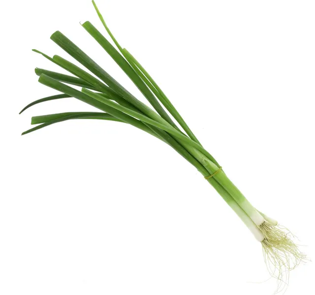 Spring Onion Leaves 1 Bunch