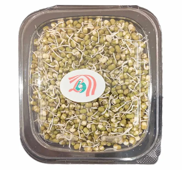 Mung Beans Sprout 250 g