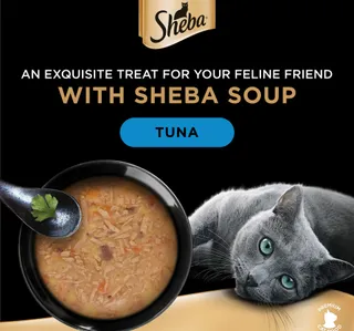 Sheba Soup With Tuna Cat Food 160 g