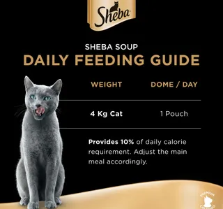 Sheba Soup With Salmon Cat Food 160 G