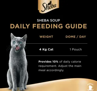 Sheba Soup With Salmon Cat Food 160 g