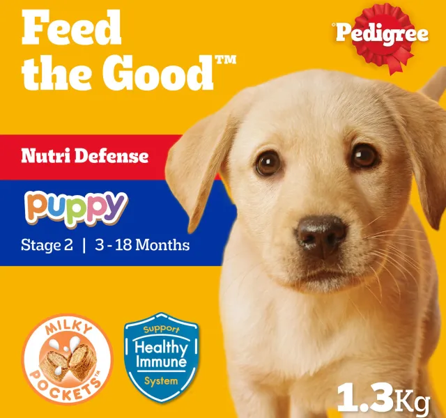 All In One Chicken & Egg Puppy Food