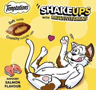 Temptations Savoury Salmon Flavour Cat Treats For Adult Cat 75 G