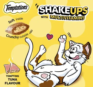 Temptations Tempting Tuna Flavour Cat Treats For Adult Cat 75 G