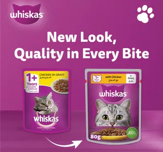 Whiskas Chicken In Gravy Wet Cat Food For Adult Cats 1 Years 80 G