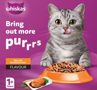 Whiskas Grilled Salmon Steak Flavour Dry Cat Food for Adult Cat 1+ Years 1.2 kg