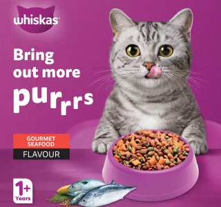 Whiskas Gourmet Seafood Flavour Dry Cat Food For Adult Cat 1 Years 3 Kg