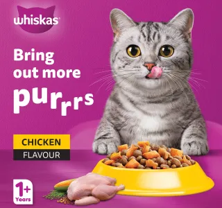 Whiskas Chicken Flavour Cat Dry Food For Adult Cat 1 Years 1 2 Kg