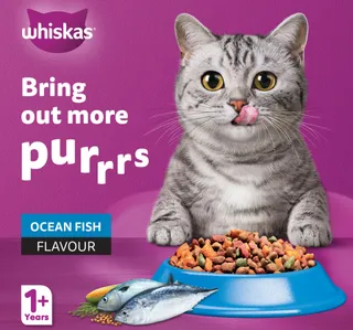 Whiskas Ocean Fish Flavour Dry Cat Food for Adult Cat 1+ Years 1.2 kg