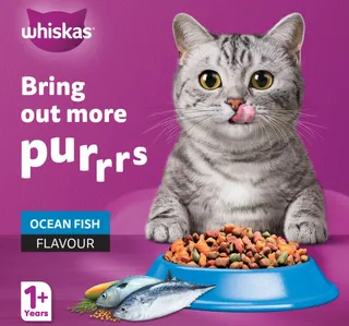 Whiskas Ocean Fish Flavour Dry Cat Food for Adult Cat 1+ Years 480 g