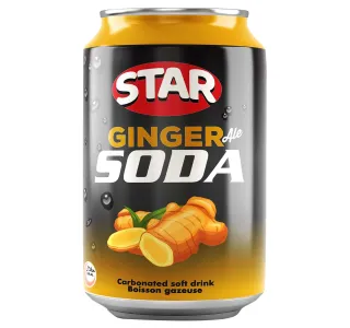 Star Ginger Soda Carbonated Soft Drink 300 ml