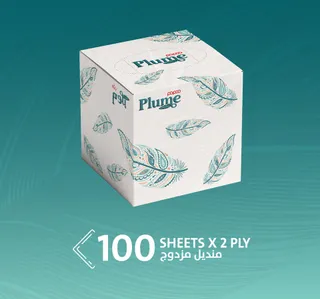 Papco Plume Facial Tissue 2ply 4 x 100 Sheets