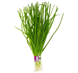 Premium Spring Onion Leaves 1 Bunch