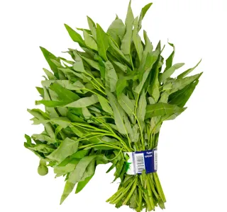 Premium Kangkong Leaves 1 Bunch