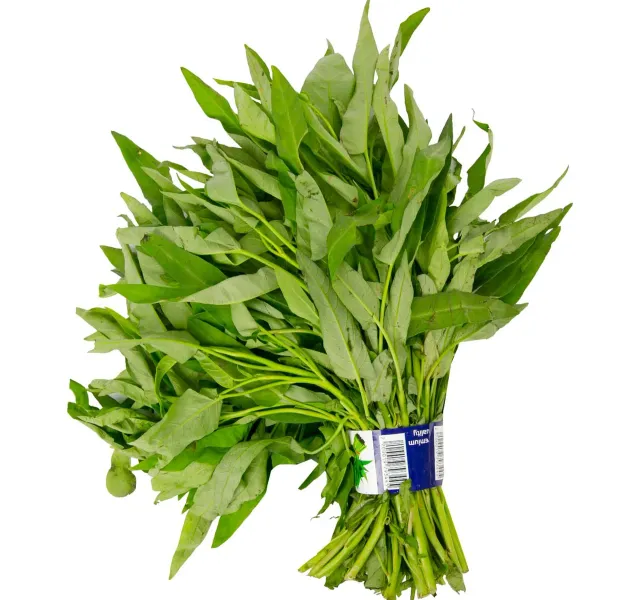 Premium Kangkong Leaves 1 Bunch