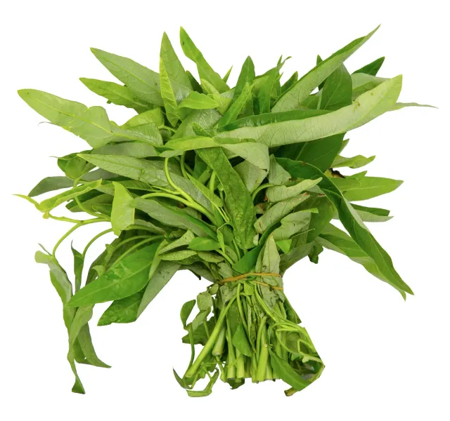Kangkong Leaves 1 Bunch