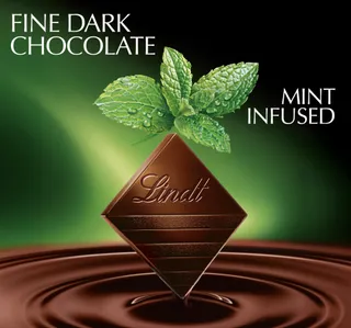 Lindt Excellence Mint Intense Dark Chocolate 100 G
