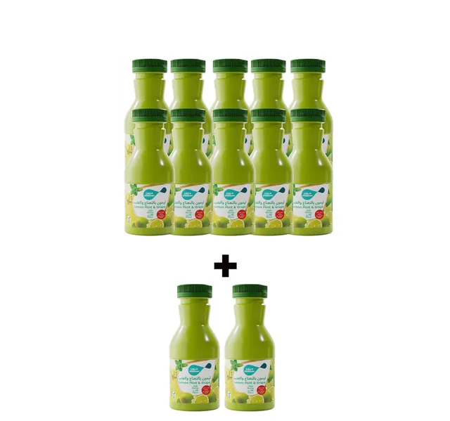 Mazoon No Added Sugar Lemon Mint Grape Nectar 12 X 200 Ml