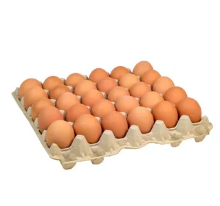 بيض بني سوري كبير 30 Pcs