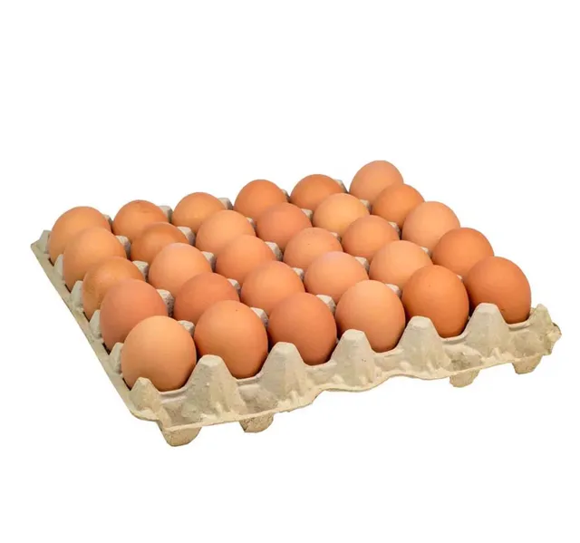 بيض بني سوري كبير 30 Pcs