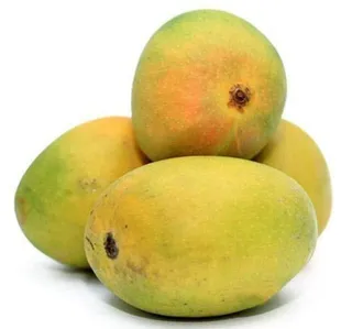 Mango Alphonso 1 kg