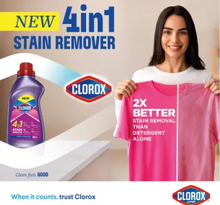 Clorox 4in1 Liquid Stain Remover For Color Clothes 900 ml